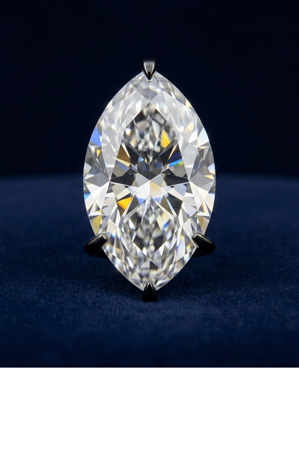 Marquise